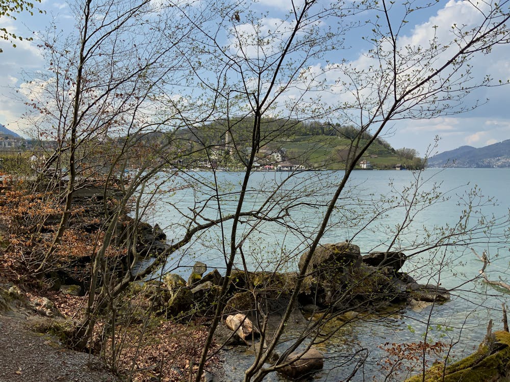 產(chǎn)品介紹PPT