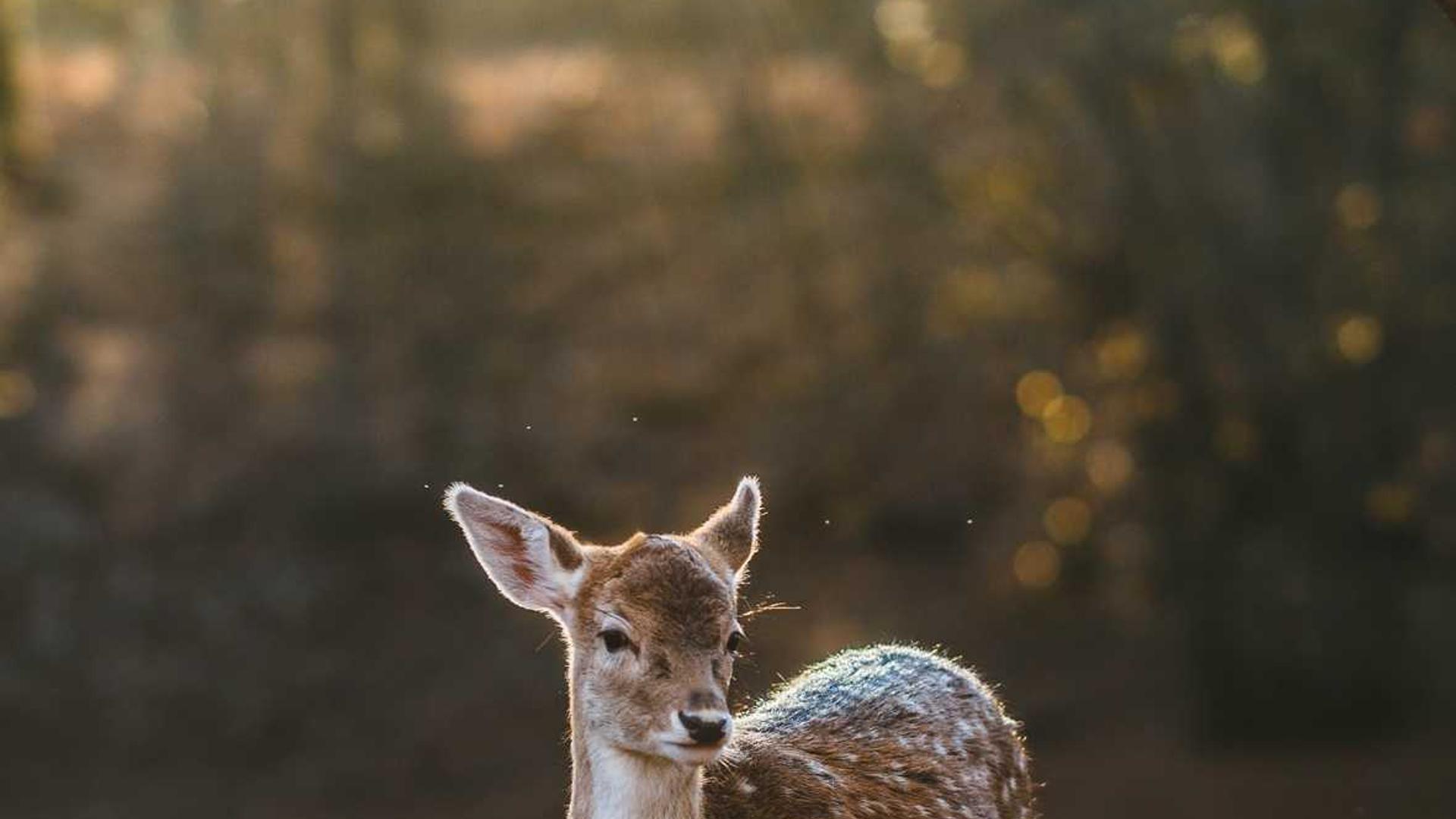 企業(yè)宣傳PPT